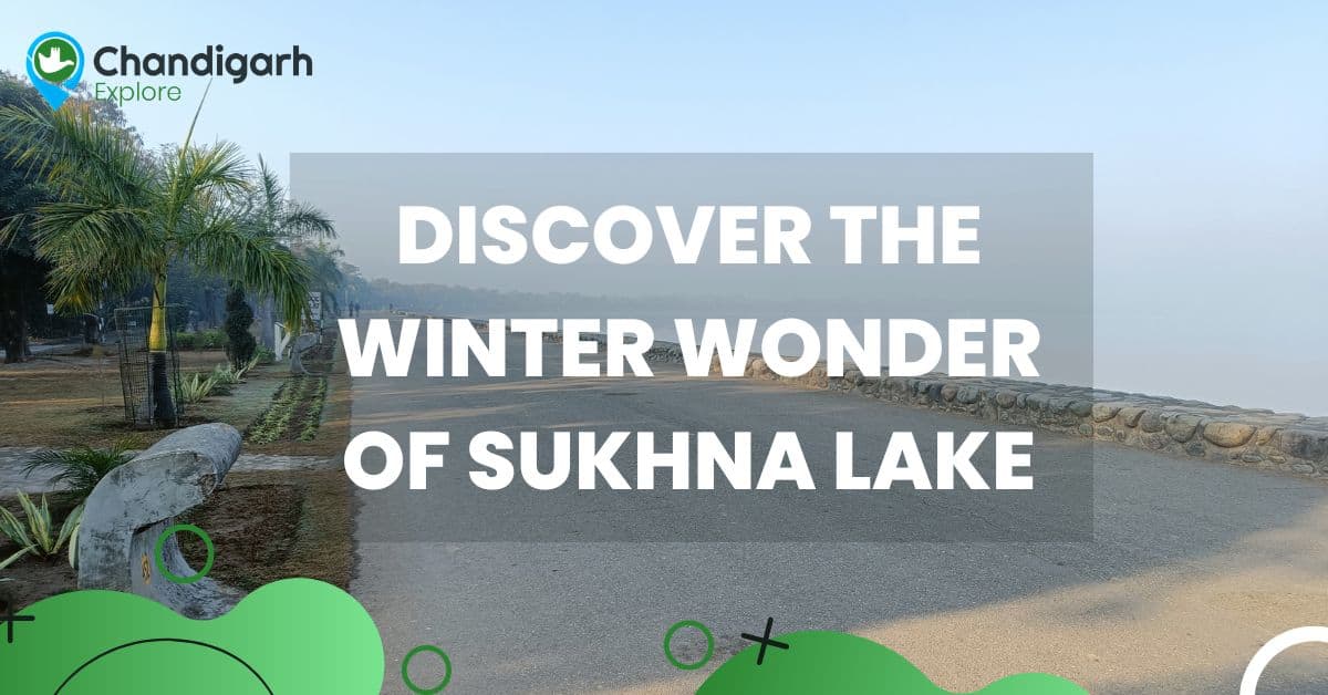 Discover the Winter Wonder of Sukhna Lake