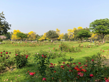 Zakir Hussain Rose Garden