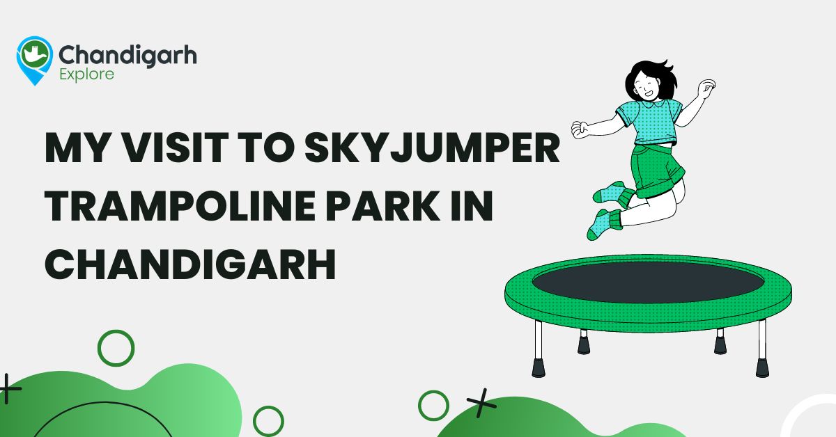 My Visit to SkyJumper Trampoline Park in Chandigarh