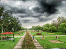 Terraced Garden Chandigarh