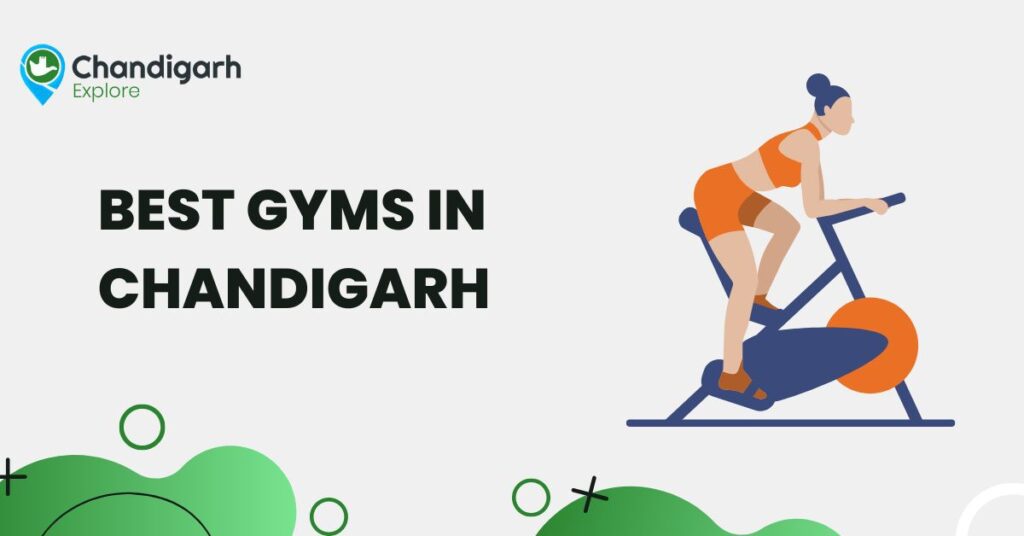 Best Gyms In Chandigarh