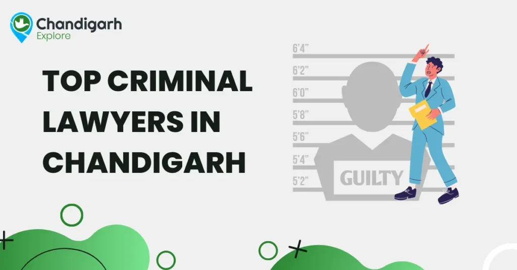 Top Criminal Lawyers in Chandigarh