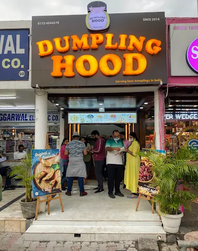 Dumpling Hood - Sector 9D