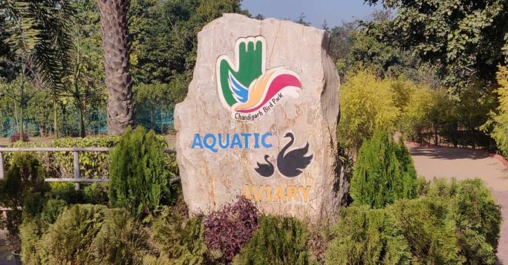 Aquatic Aviary at chandigarh bird park