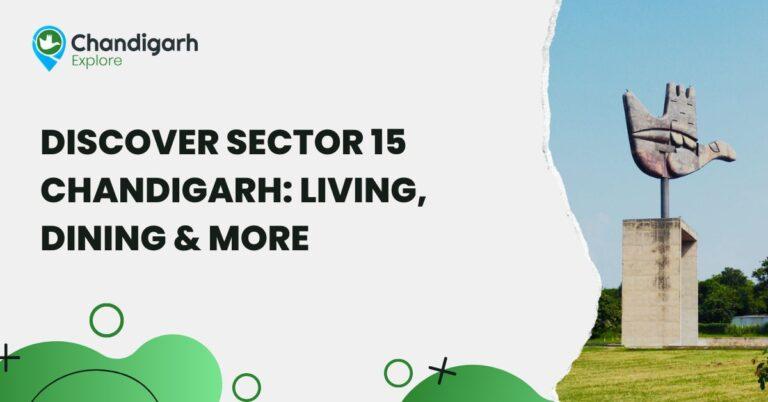Sector 15 Chandigarh